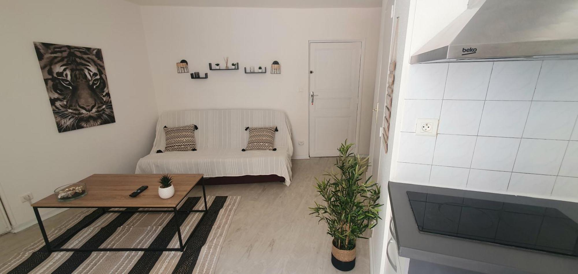 Studio Cosy Au Coeur De Millau Exteriör bild